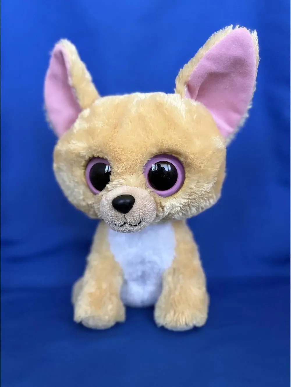 Adorable TY Beanie Nacho Chihuahua Dog Plush 9
